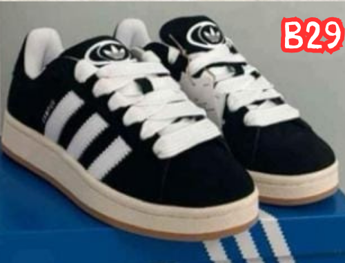 B29 CAMPUS NEGRO